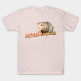 Cute baby possum T-Shirt